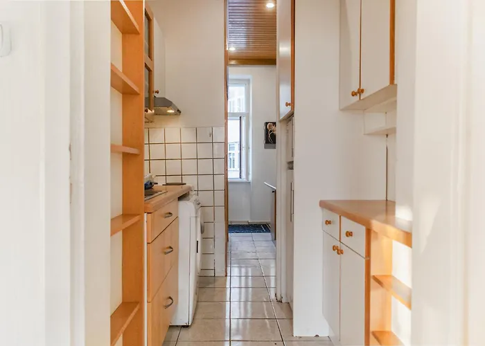Elegant & Near Danube With Garden Access Viena
